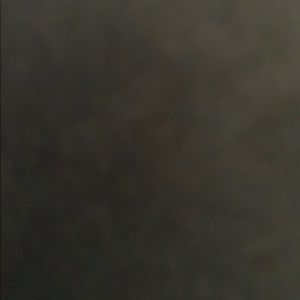 Meet your Posher, Chase